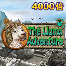 Llama Adventure